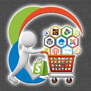 E-Commerce Enabled User Friendly Website Design & Development Service within 15 Days