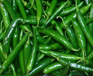 fresh green chilli