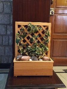 Table top planter with english ivy