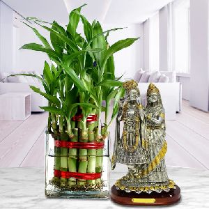 Blessed Selection of Two Layered Bamboo Plant in Glass Pot with Radha Krishna Murti