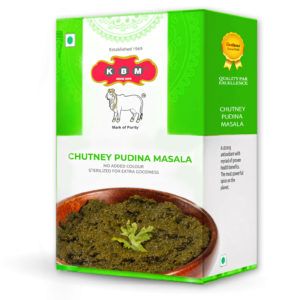 Chutney Pudina Masala