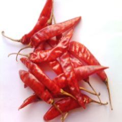 Organic Dried Red Chilli, Packaging Type : Gunny Bags