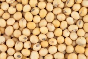 soya beans