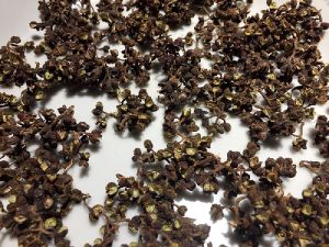 ANDALIMAN PEPPER/ BATAK PEPPER