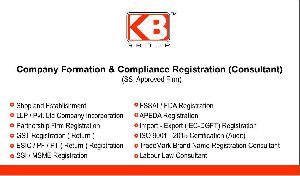 Company Registration Consultant