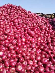 fresh red onion