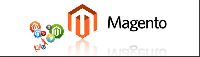 Magento E-commerce Store Development
