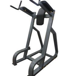 Vertical Knee Raise Machine