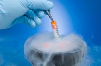 Frozen Embryo Replacement