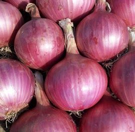 fresh onion