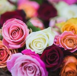 Rose &amp; Gerbera Flowers