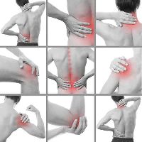 Physiotherapy Treatment Services