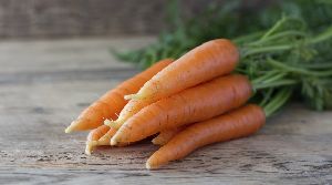 Organic Carrot