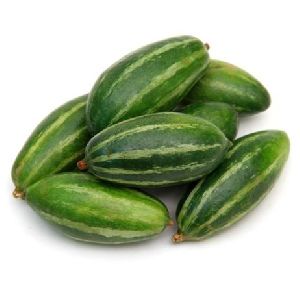 Organic Pointed Gourd