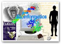 Bioinformatics Services