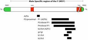 Y-Microdeletion Treatment