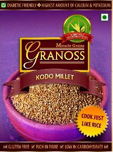 Millet Paddy