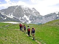 Chandrakhani Pass Trekking Tour Packages