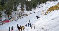 Pune to Manali Tour Packages