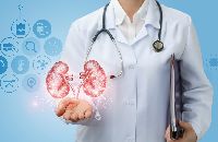 Kidney Transplant Treatment Services