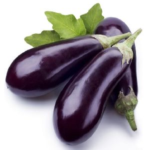 Fresh Eggplant by Balk by wholesale