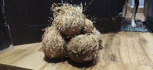 Semk husked Coconuts