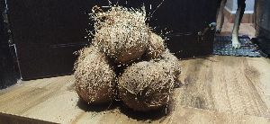 Organic Semk Husked Coconuts, Shelf Life : 3months