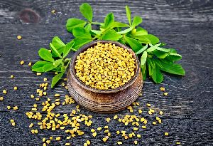 fenugreek seeds