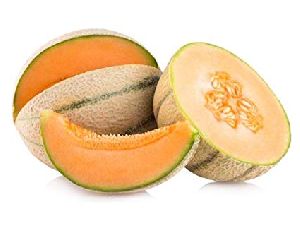 fresh muskmelon