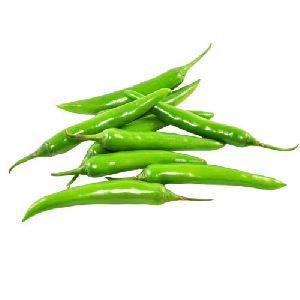 fresh green chilli