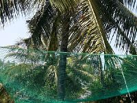 Coconut Safety Net Installation Services