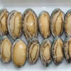 Competitive Sale Priced Frozen Abalone For Sale