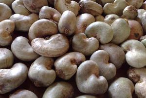 raw cashew nuts