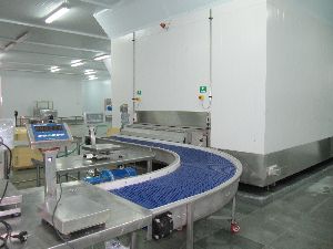 SS Radius Conveyor