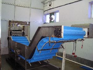 SS Transfer Conveyor