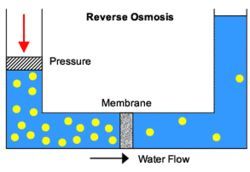 Chlorine Dioxide  In Microbial Control In Reverse Osmosis
