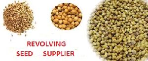 seed supplier