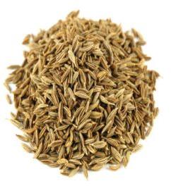 cumin seeds, Purity : 99% & 98% (Singapore/Europe)