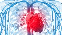 Cardiovascular Stem Cell Treatment Services