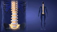 Spinal Cord Stem Cell Treatment Services