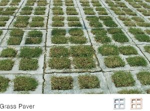 Grass Paver