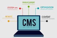 CMS Website Development Services