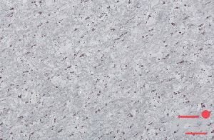 River White Granite Slab