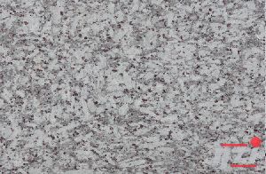 Southern White Granite Slab