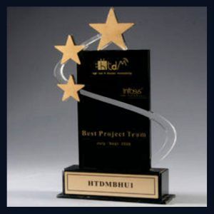 Best Project Team Acrylic Trophy