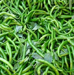 fresh green chilli