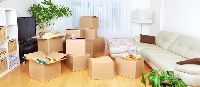 Domestic Moving Service