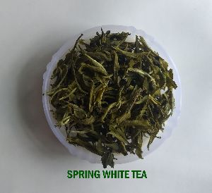 Spring White Tea