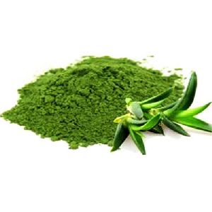 aloe vera powder