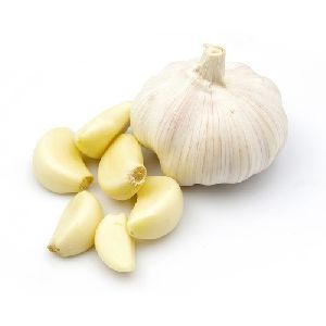 fresh garlic